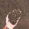 Lightweight Pumice
